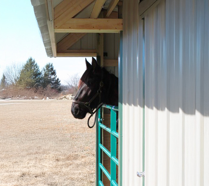 Horse Shelters